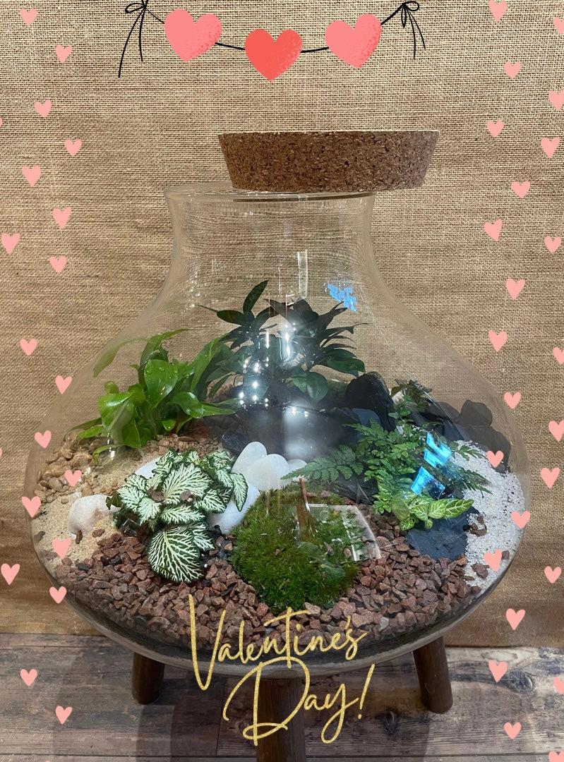 Bon pour un atelier terrarium en duo
