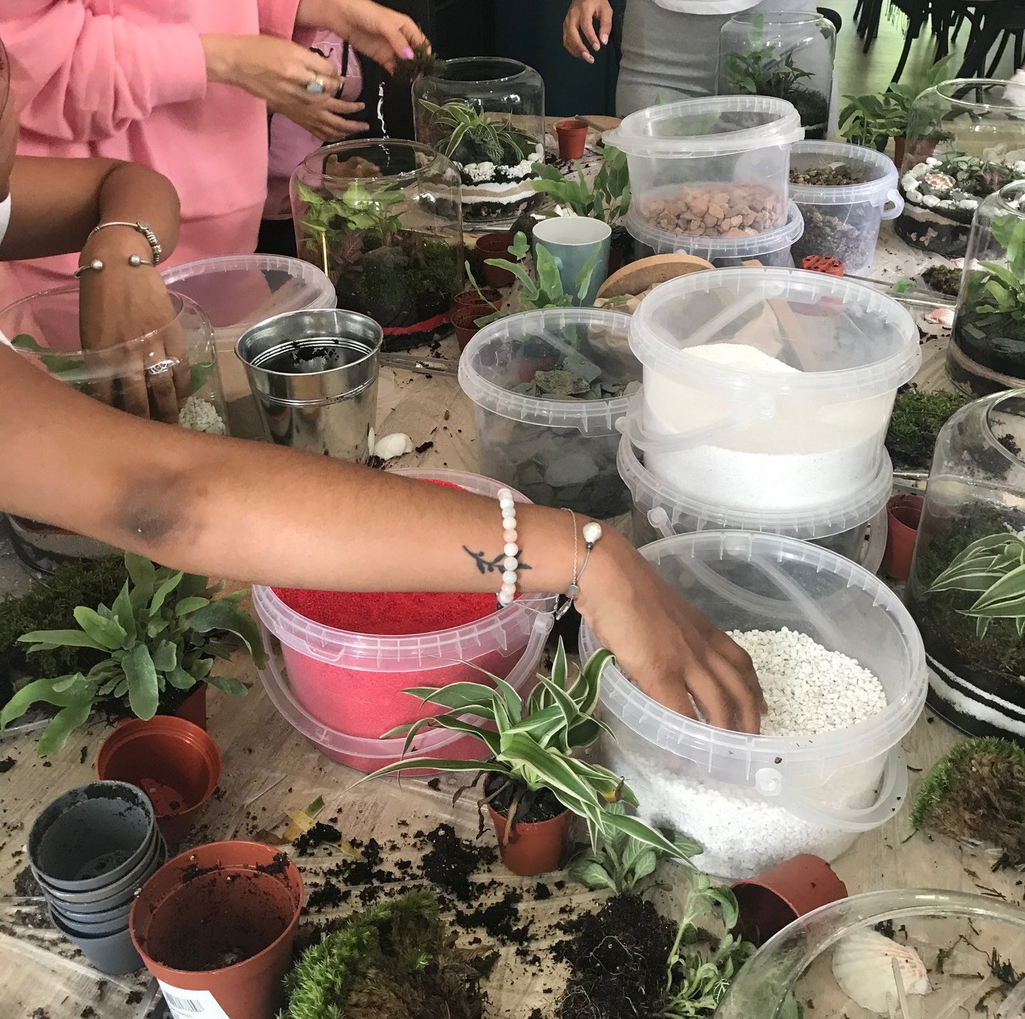 Atelier pour créer votre terrarium grand modèle