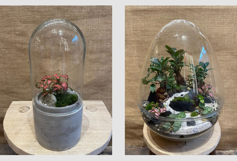 Image galerie Atelier Nature