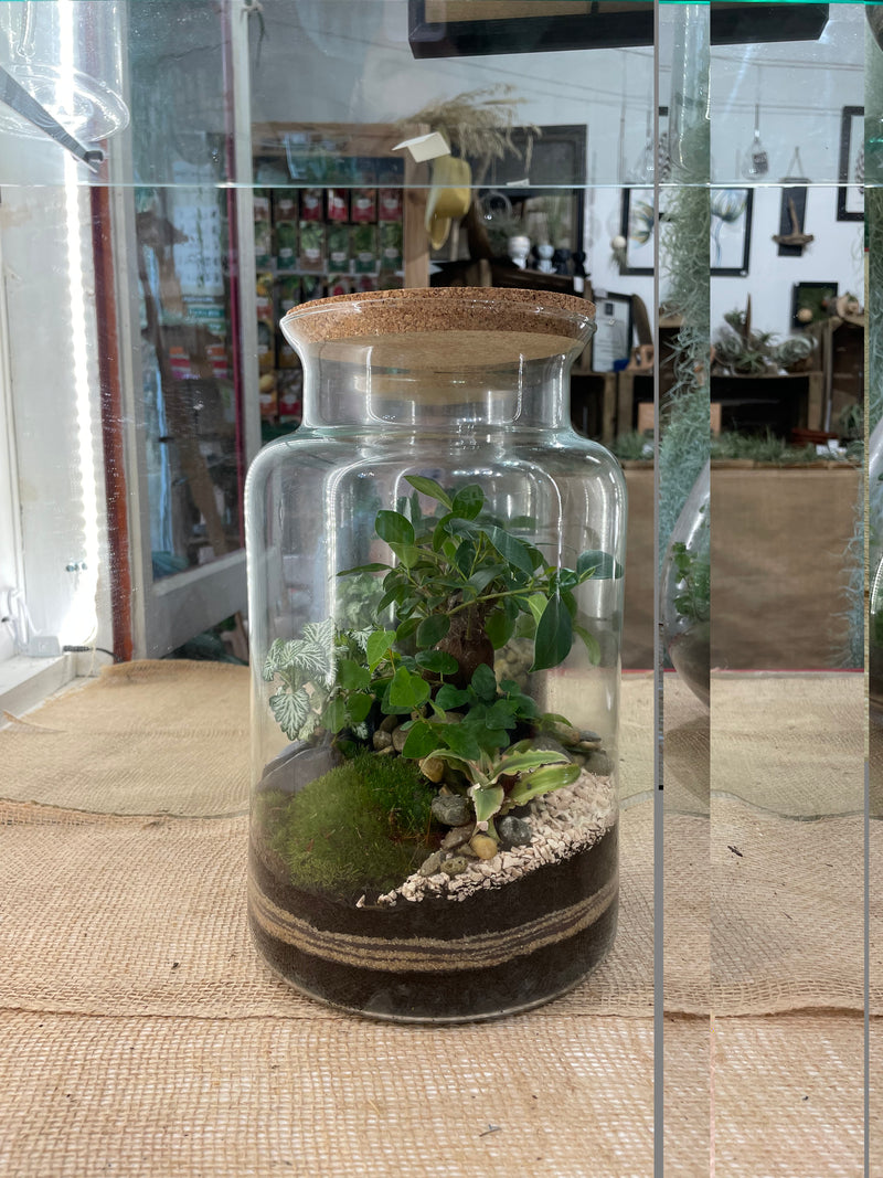 Atelier pour créer votre terrarium grand modèle
